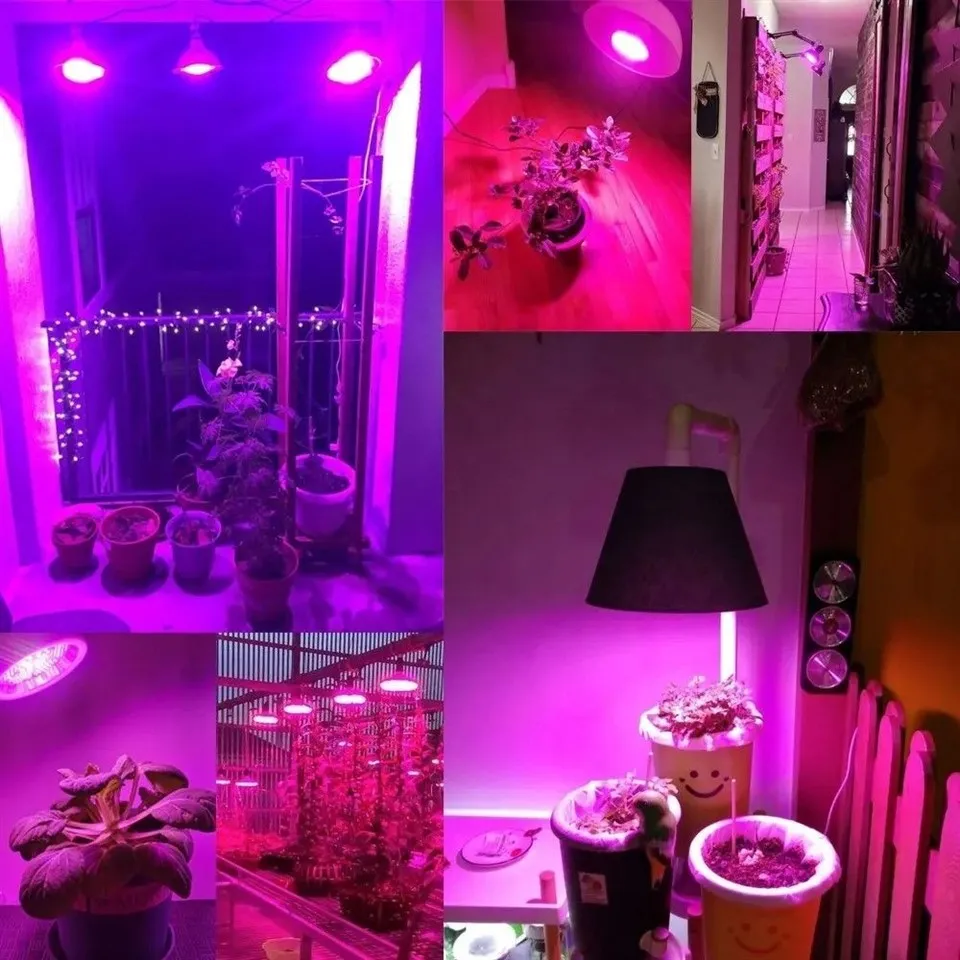 ir grow light bulb 06(001)