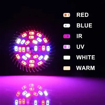 Bolehkah mentol lampu UV digunakan untuk bunga?