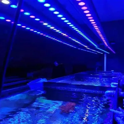 Bagaimana untuk memastikan kestabilan lampu tangki ikan yang dipimpin?